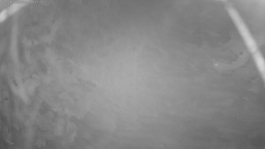 Lyžařské středisko Aš - Sejzdovka Jednička - 15.12.2025 v 00:45 Lyžařské středisko Aš - Sejzdovka Jednička - 15.12.2025 v 00:45