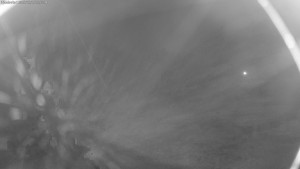 Lyžařské středisko Aš - Sejzdovka Jednička - 15.12.2025 v 20:30 Lyžařské středisko Aš - Sejzdovka Jednička - 15.12.2025 v 20:30