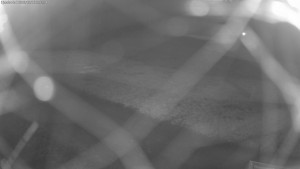 Lyžařské středisko Aš - Sejzdovka Jednička - 16.3.2026 v 05:45 Lyžařské středisko Aš - Sejzdovka Jednička - 16.3.2026 v 05:45