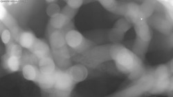 Sejzdovka Jednička