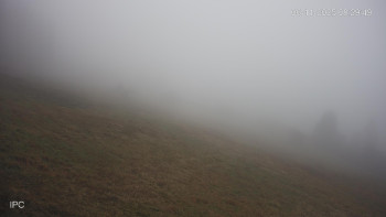 Snímek 6.11.2025 v 08:31