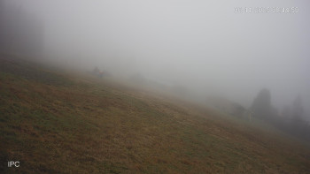 Snímek 6.11.2025 v 08:45