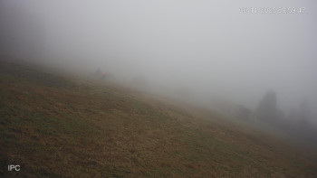 Snímek 6.11.2025 v 09:03