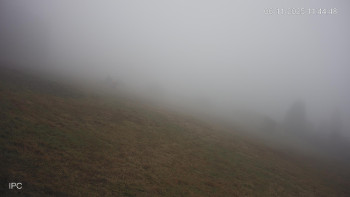 Snímek 6.11.2025 v 11:45