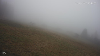 Snímek 6.11.2025 v 13:45