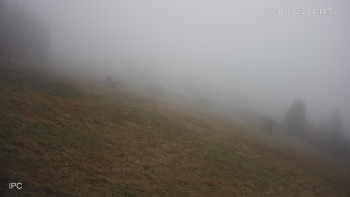 Snímek 6.11.2025 v 14:15