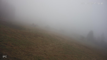 Snímek 6.11.2025 v 15:15