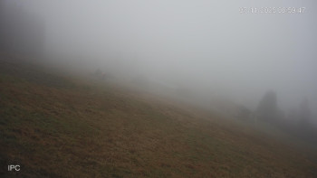 Snímek 7.11.2025 v 07:03