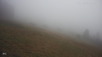 Snímek 7.11.2025 v 08:03