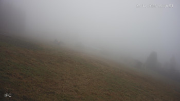 Snímek 7.11.2025 v 08:15