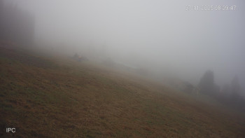 Snímek 7.11.2025 v 08:31