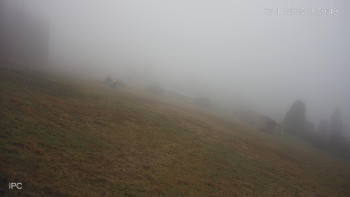 Snímek 7.11.2025 v 09:03