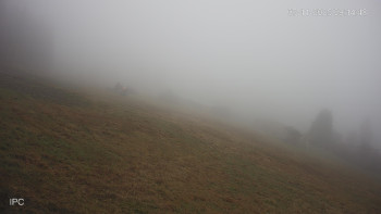 Snímek 7.11.2025 v 09:15