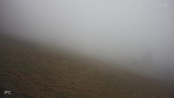 Snímek 8.11.2025 v 09:31