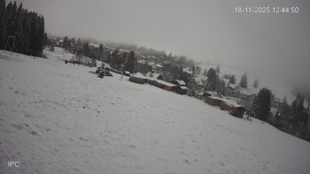 Snímek 18.11.2025 v 12:45