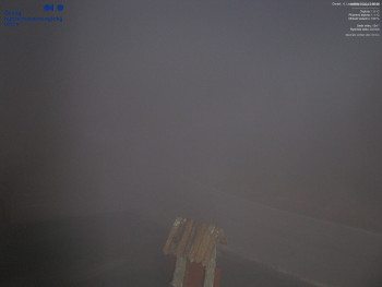 Snímek 7.11.2025 v 00:15