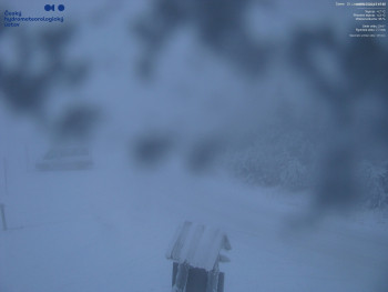 Snímek 20.11.2025 v 07:30