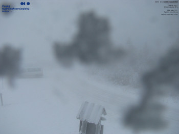 Snímek 20.11.2025 v 09:00