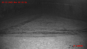 Snímek    3.11.2025 v 02:45