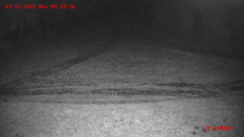 Snímek    3.11.2025 v 04:30