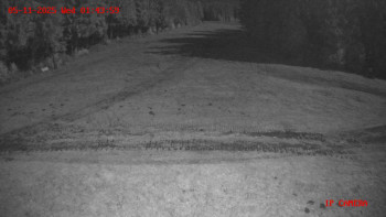 Snímek 5.11.2025 v 01:45