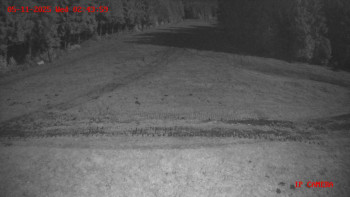 Snímek 5.11.2025 v 02:45