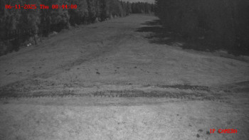 Snímek 6.11.2025 v 00:45