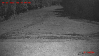 Snímek 6.11.2025 v 01:00