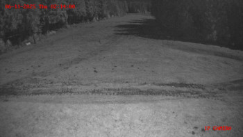 Snímek 6.11.2025 v 02:15