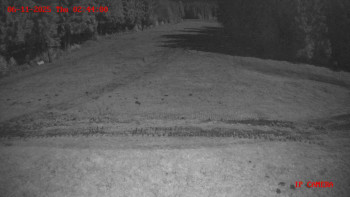 Snímek 6.11.2025 v 02:45