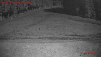 Snímek 6.11.2025 v 04:30