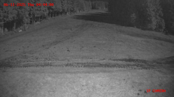 Snímek 6.11.2025 v 04:45