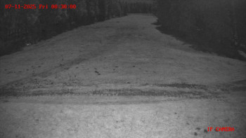 Snímek 7.11.2025 v 00:30