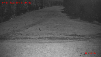 Snímek 7.11.2025 v 01:15