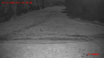 Snímek 7.11.2025 v 01:30