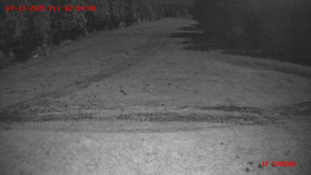 Snímek 7.11.2025 v 02:15