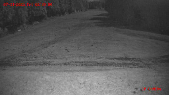 Snímek 7.11.2025 v 02:30