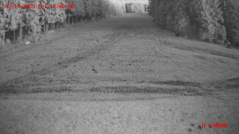 Snímek 7.11.2025 v 17:00