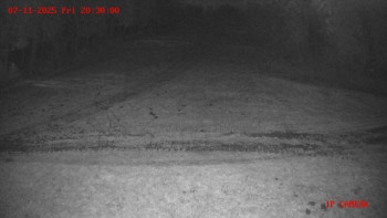 Snímek 7.11.2025 v 20:30