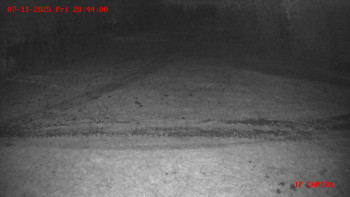 Snímek 7.11.2025 v 20:45