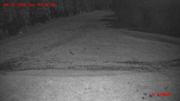 Snímek 8.11.2025 v 03:30