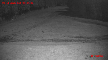 Snímek 8.11.2025 v 04:15