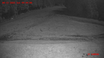 Snímek 8.11.2025 v 04:45