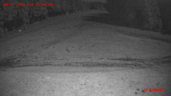 Snímek 8.11.2025 v 05:45