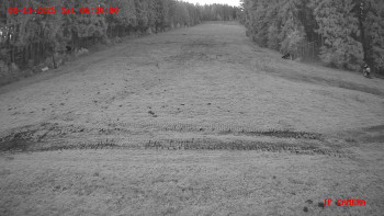 Snímek 8.11.2025 v 06:30