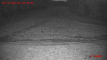 Snímek 9.11.2025 v 01:45