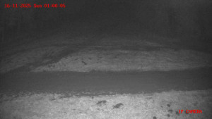 Skiareál Klepáčov - Červená sjezdovka - 16.11.2025 v 01:00 Skiareál Klepáčov - Červená sjezdovka - 16.11.2025 v 01:00