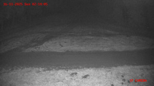 Skiareál Klepáčov - Červená sjezdovka - 16.11.2025 v 02:15 Skiareál Klepáčov - Červená sjezdovka - 16.11.2025 v 02:15