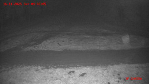 Skiareál Klepáčov - Červená sjezdovka - 16.11.2025 v 04:00 Skiareál Klepáčov - Červená sjezdovka - 16.11.2025 v 04:00