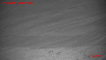 Snímek 17.11.2025 v 03:45